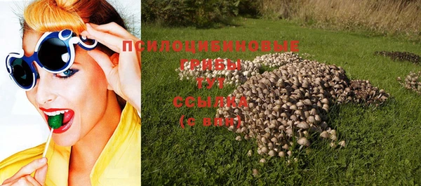 ALPHA-PVP Белокуриха