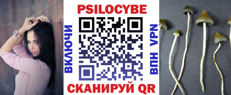 Псилоцибиновые грибы ЛСД  где купить   блэк спрут ТОР  Дигора 
